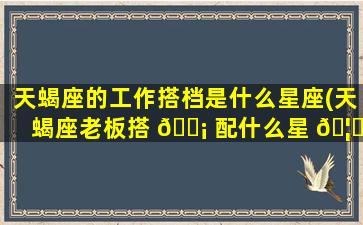 天蝎座的工作搭档是什么星座(天蝎座老板搭 🐡 配什么星 🦍 座下属)